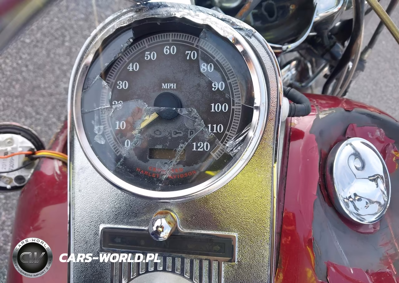 2001 Harley-Davidson Flhrci VIN:1HD1FRW181Y636108 - 7