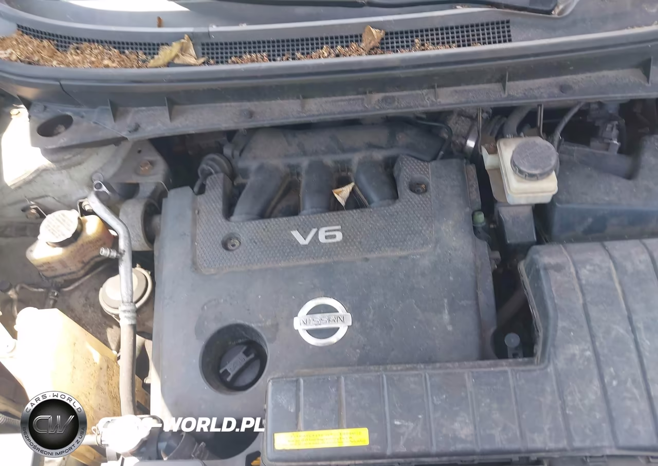 2009 Nissan Murano Sl VIN:JN8AZ18W09W211688 - 10