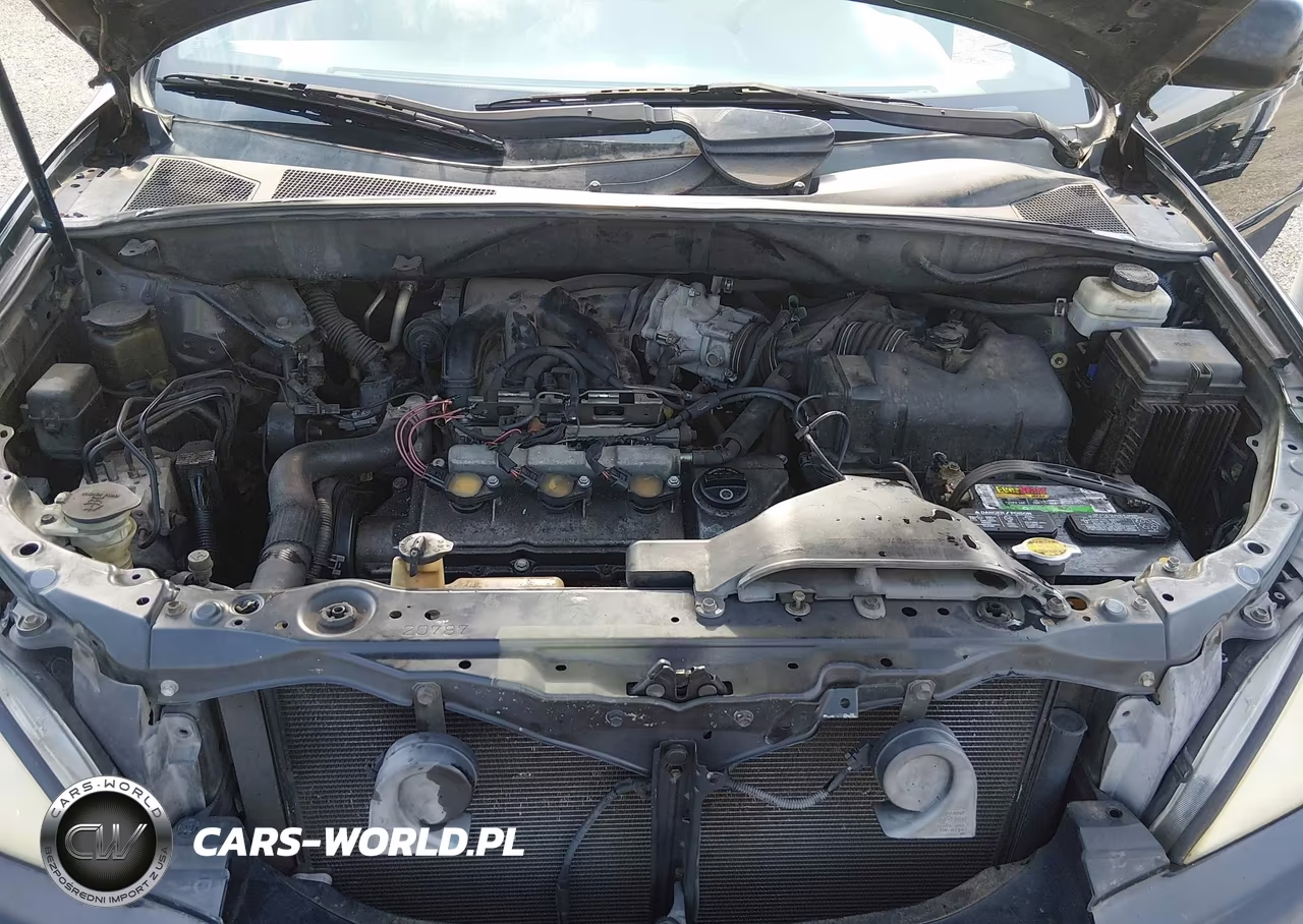2004 Lexus Rx 330 VIN:2T2GA31U64C009288 - 10