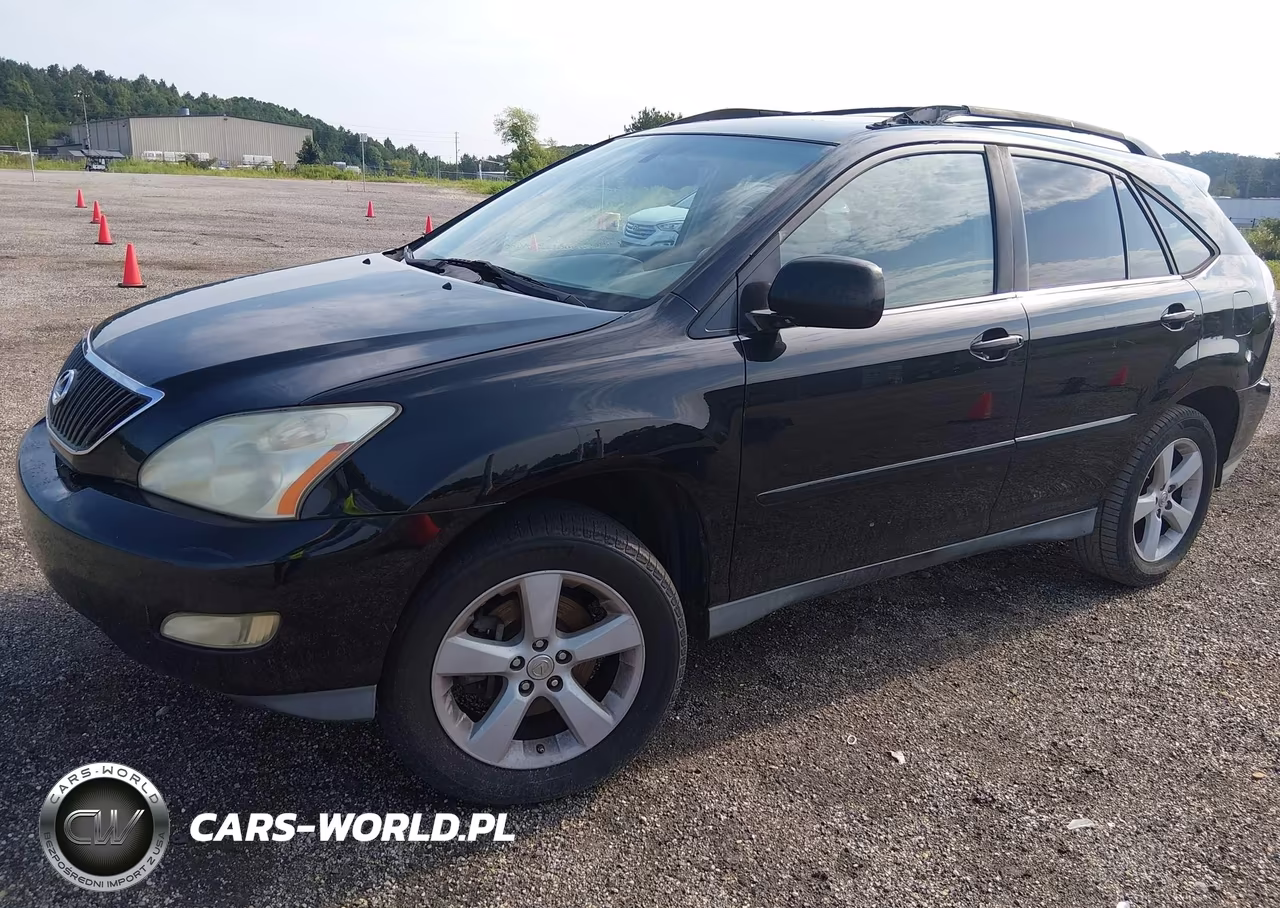 2004 Lexus Rx 330 VIN:2T2GA31U64C009288 - 2