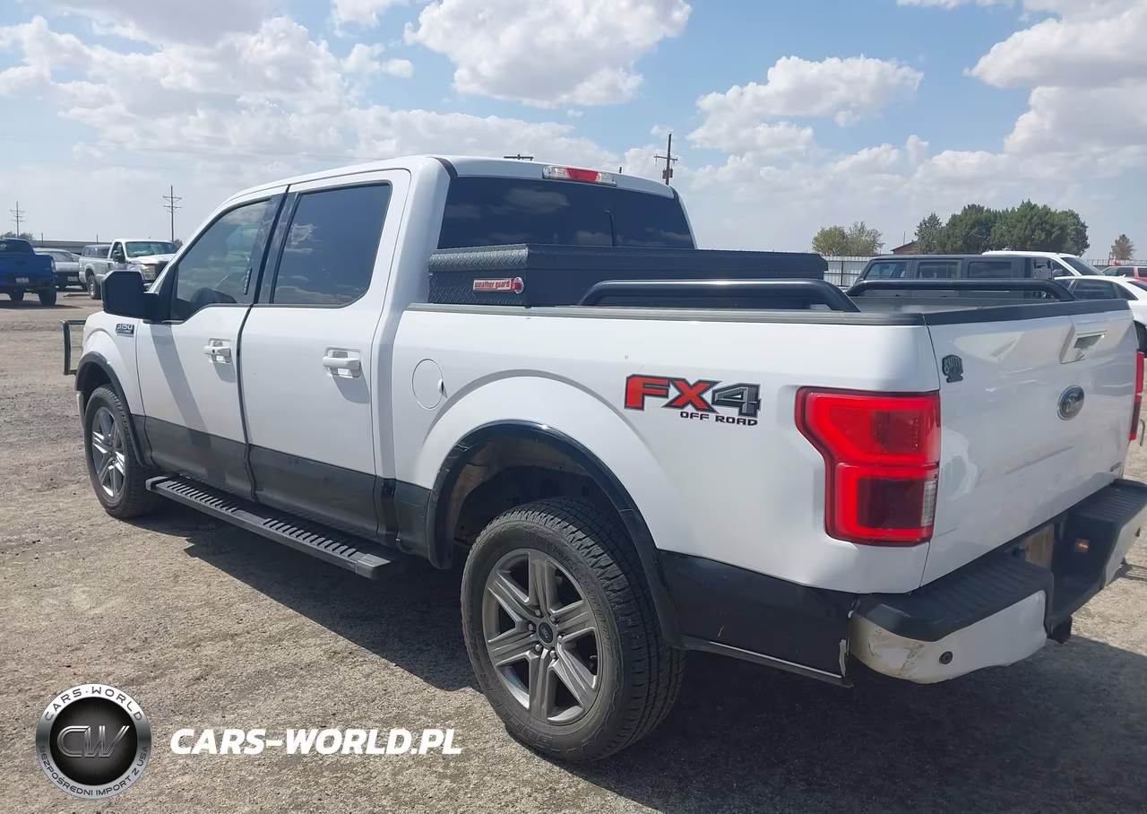 2019 Ford F-150 Lariat VIN:1FTEW1E4XKKD89176 - 3