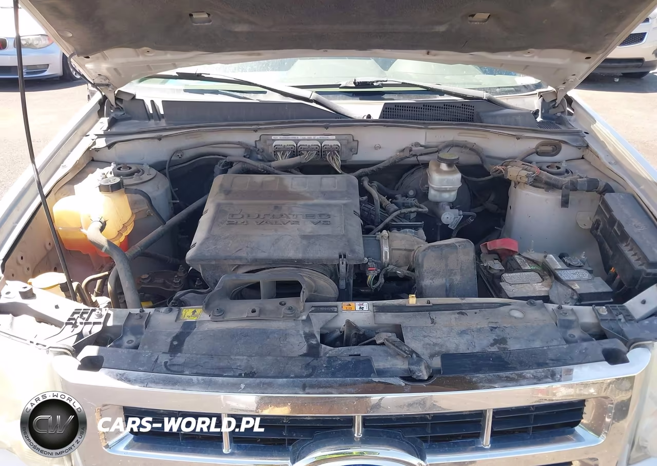 2011 Ford Escape Xlt Automatic VIN:1FMCU9DGXBKC19953 - 10