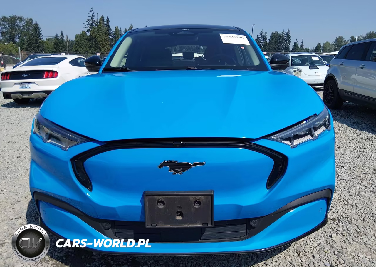 2022 Ford Mustang Mach-E Premium VIN:3FMTK3R71NMA20444 - 12