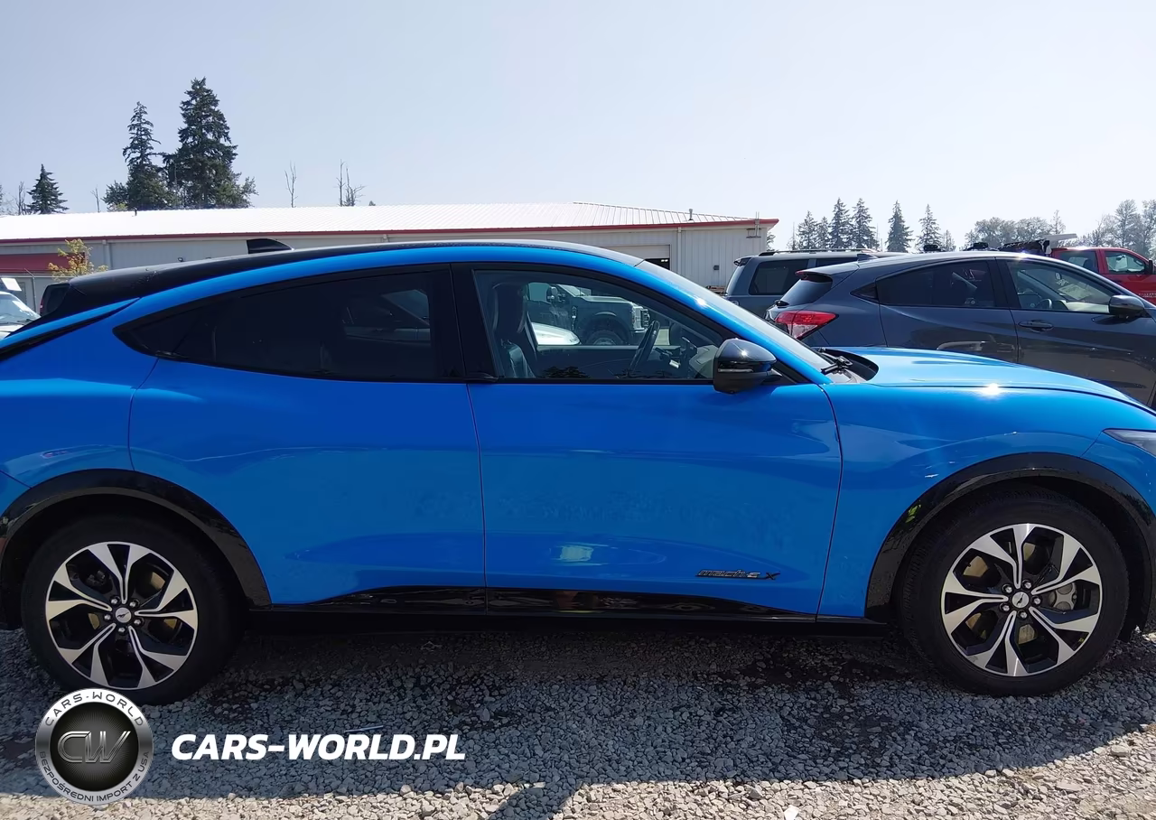 2022 Ford Mustang Mach-E Premium VIN:3FMTK3R71NMA20444 - 13