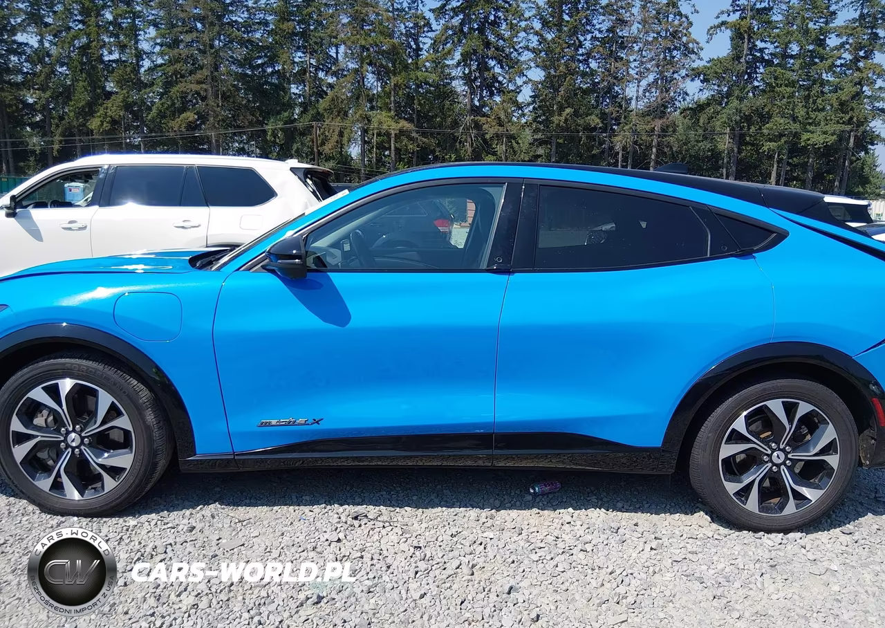 2022 Ford Mustang Mach-E Premium VIN:3FMTK3R71NMA20444 - 14
