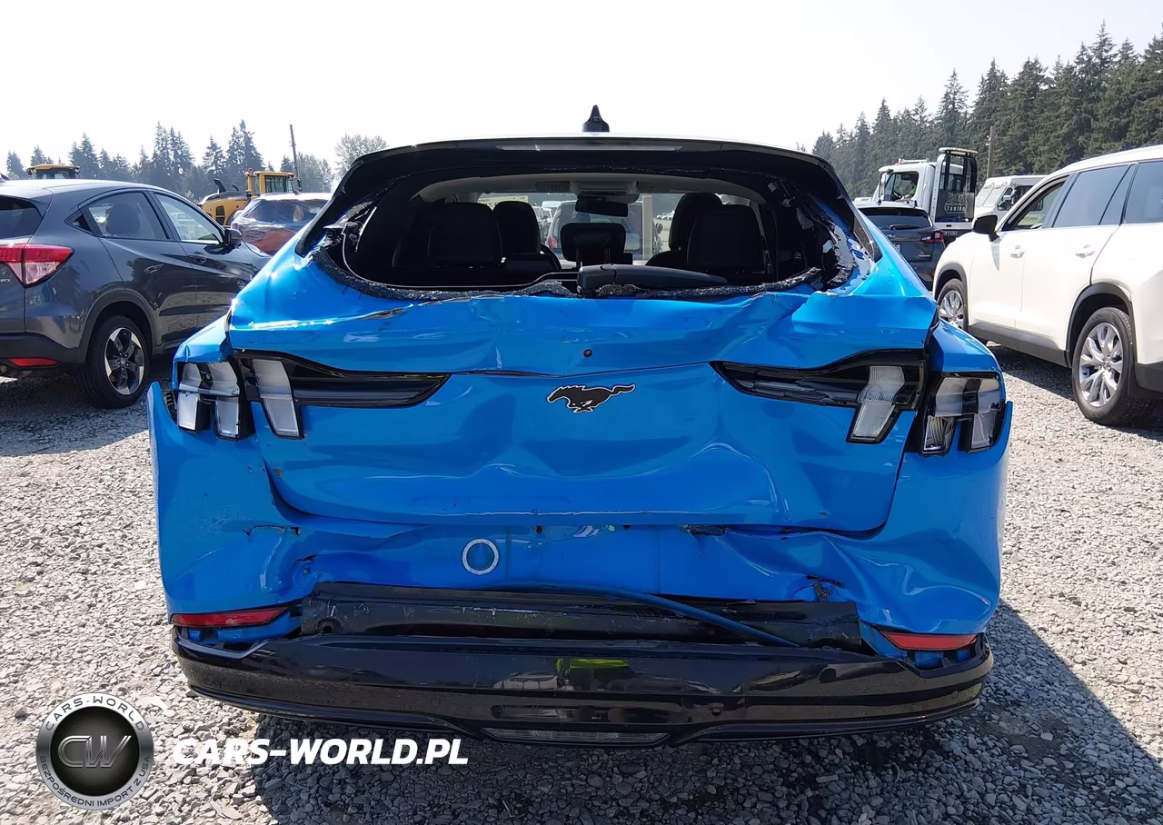 2022 Ford Mustang Mach-E Premium VIN:3FMTK3R71NMA20444 - 16