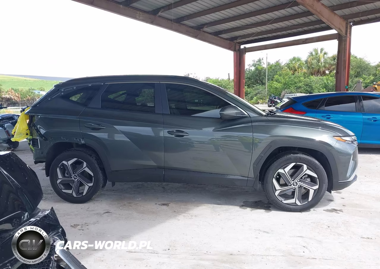 2024 Hyundai Tucson Hybrid Sel Convenience VIN:KM8JCCD14RU193240 - 14