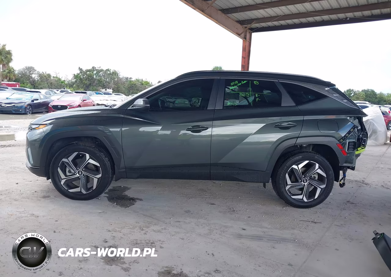 2024 Hyundai Tucson Hybrid Sel Convenience VIN:KM8JCCD14RU193240 - 15