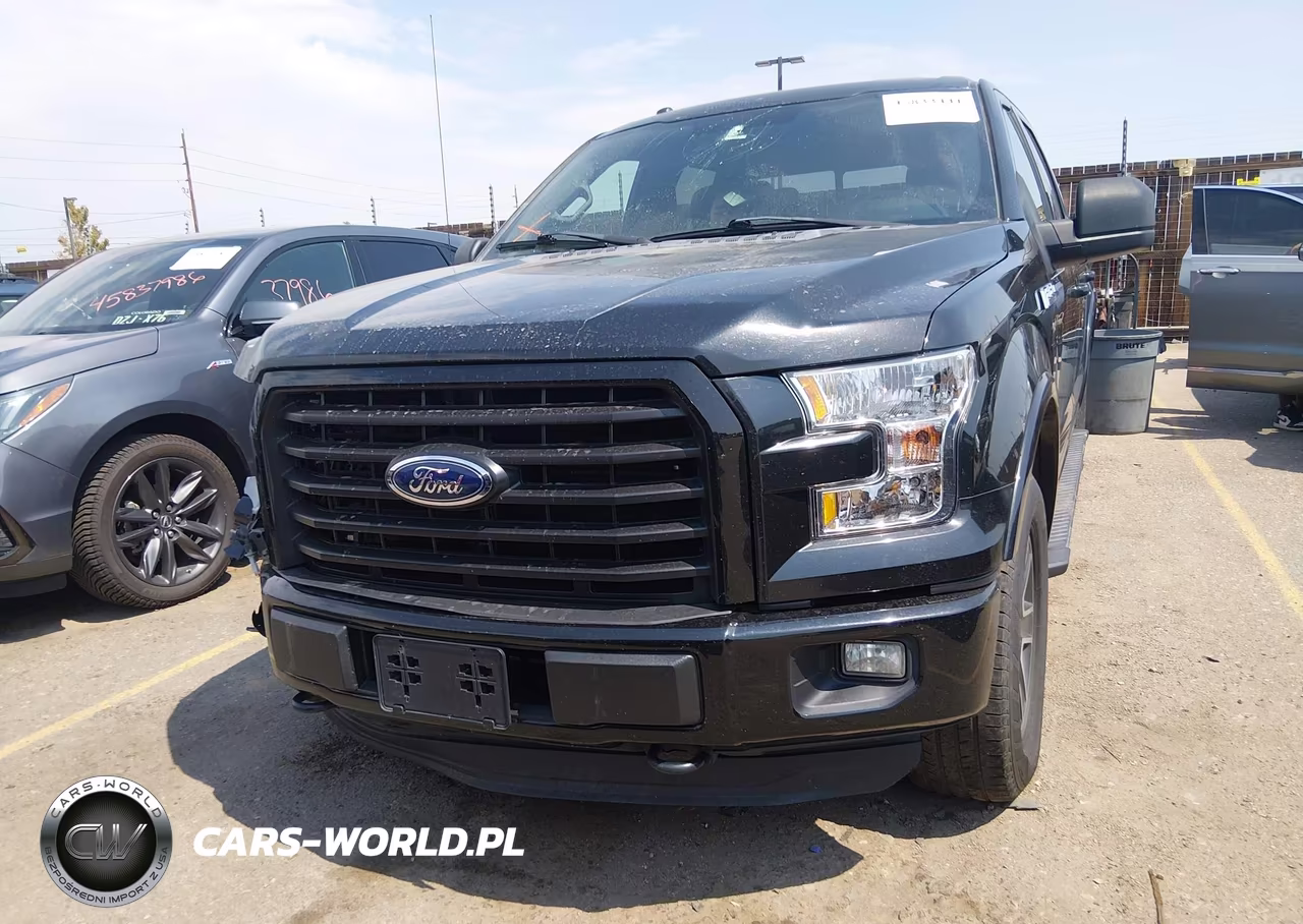 2015 Ford F-150 Xlt VIN:1FTEW1EP1FFC56833 - 13