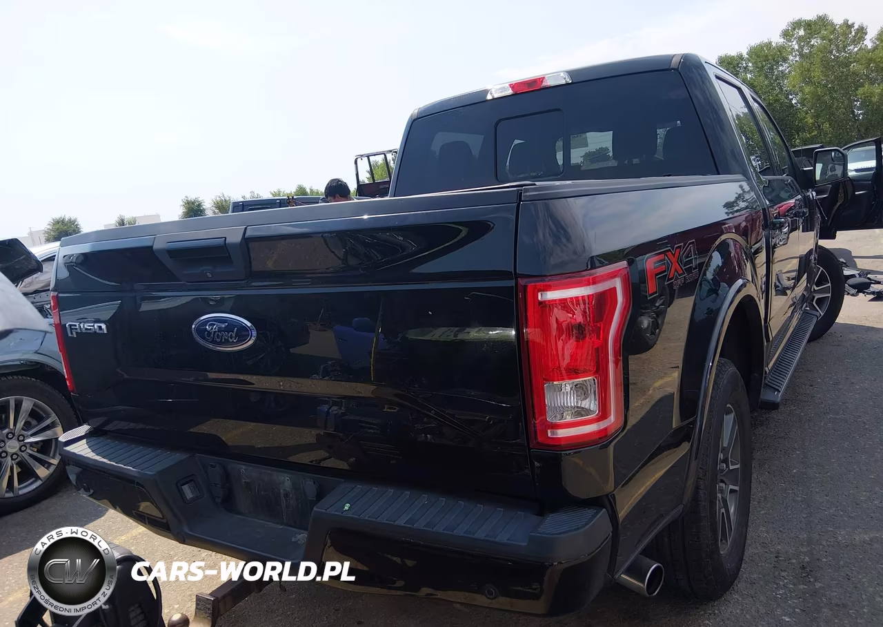 2015 Ford F-150 Xlt VIN:1FTEW1EP1FFC56833 - 17