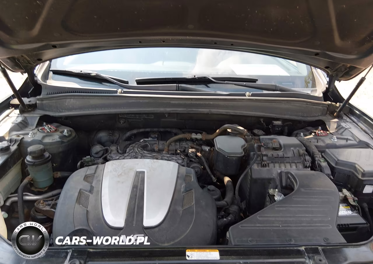 2010 Hyundai Santa Fe Se VIN:5NMSH4AG4AH397637 - 10