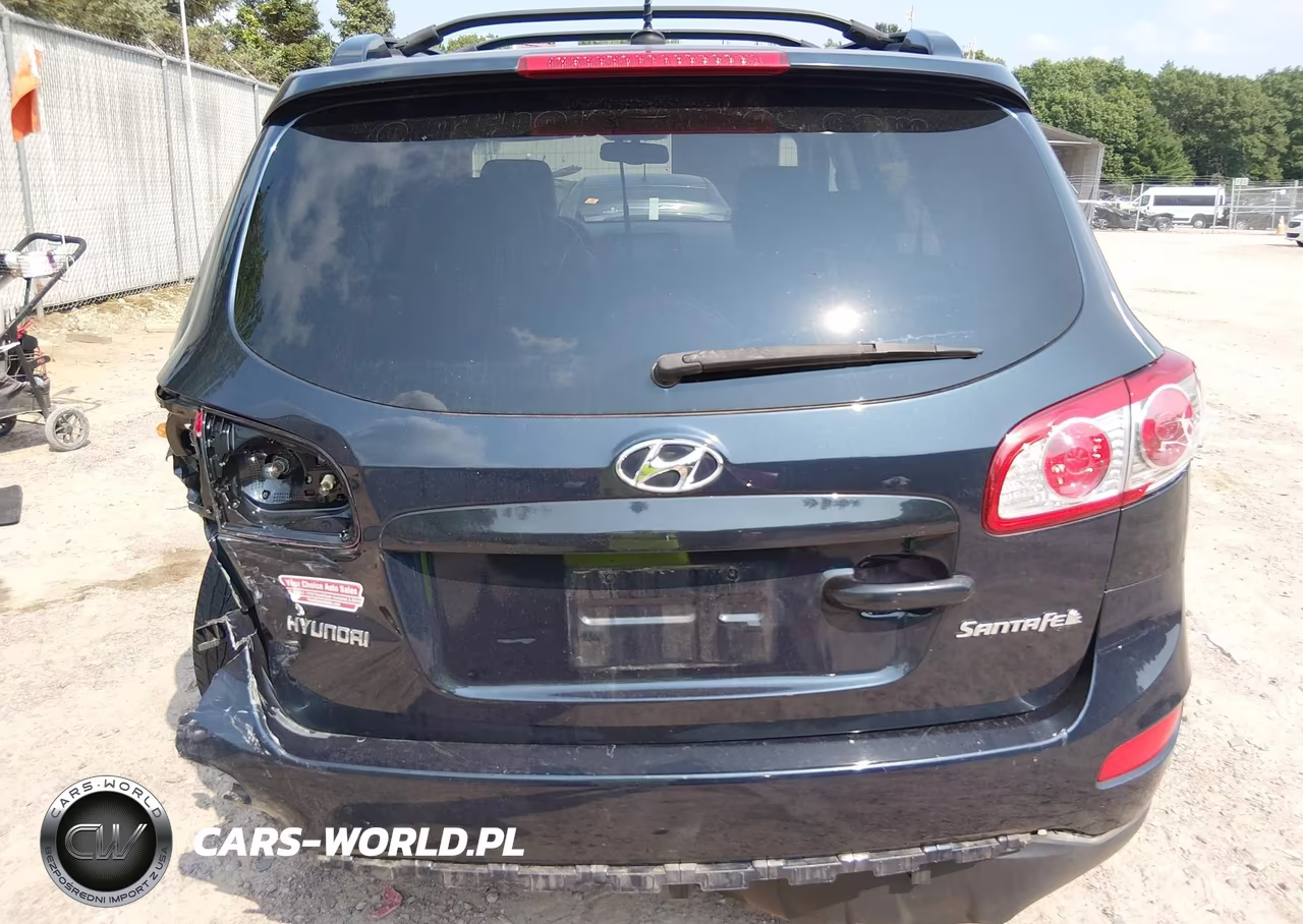 2010 Hyundai Santa Fe Se VIN:5NMSH4AG4AH397637 - 17