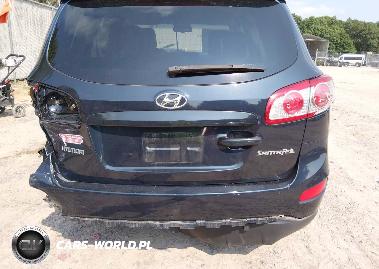 2010 Hyundai Santa Fe Se VIN:5NMSH4AG4AH397637 - 6