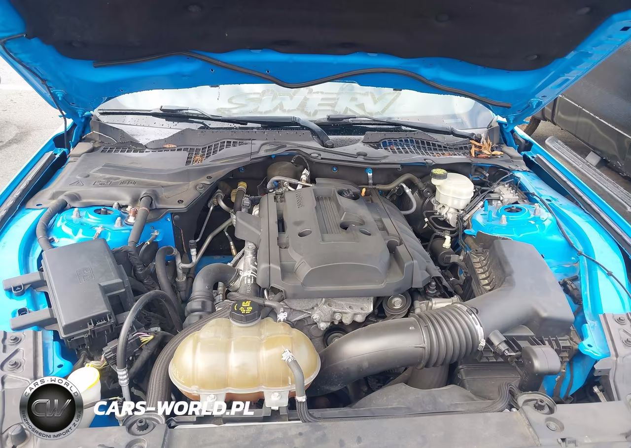 2017 Ford Mustang Ecoboost VIN:1FA6P8TH6H5308073 - 10