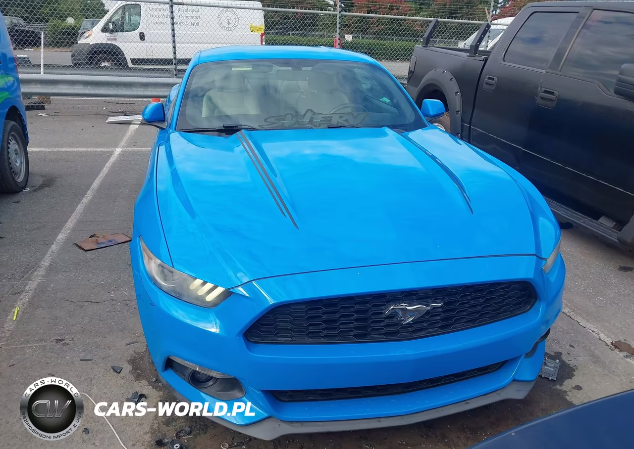 2017 Ford Mustang Ecoboost VIN:1FA6P8TH6H5308073 - 12