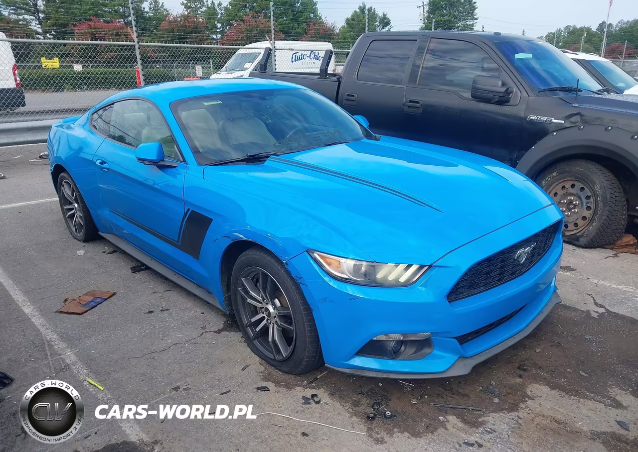 2017 Ford Mustang Ecoboost VIN:1FA6P8TH6H5308073 - 13