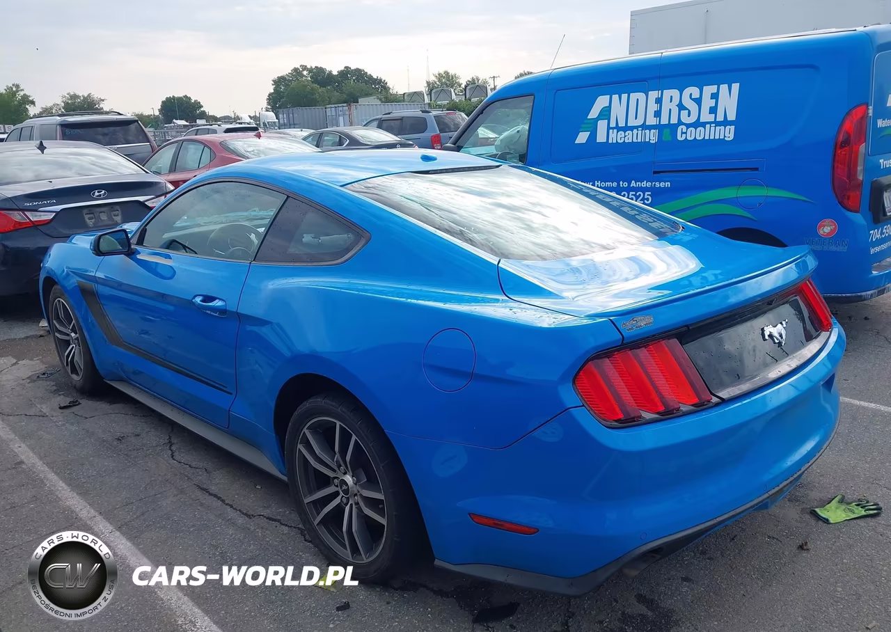 2017 Ford Mustang Ecoboost VIN:1FA6P8TH6H5308073 - 14