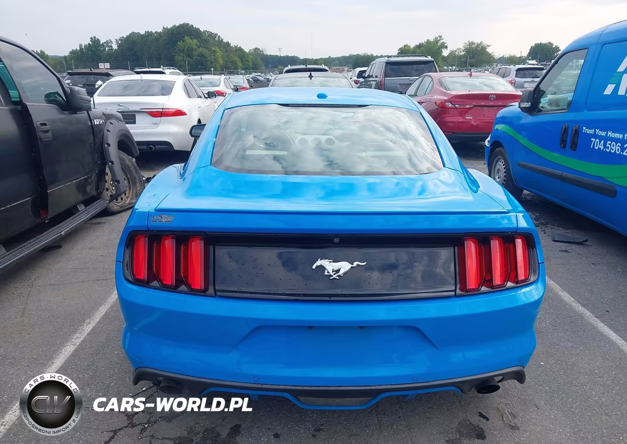 2017 Ford Mustang Ecoboost VIN:1FA6P8TH6H5308073 - 16