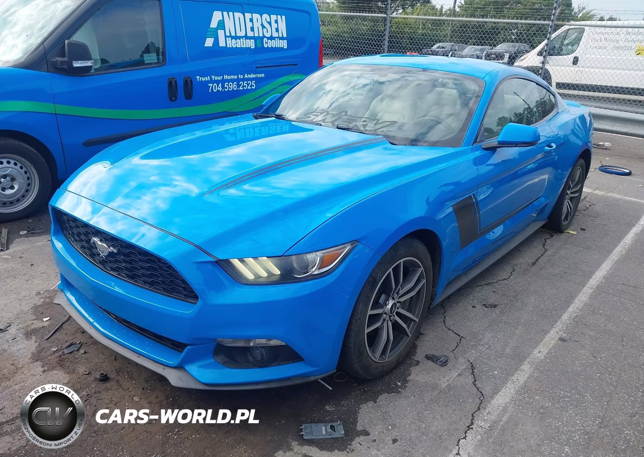 2017 Ford Mustang Ecoboost VIN:1FA6P8TH6H5308073 - 2