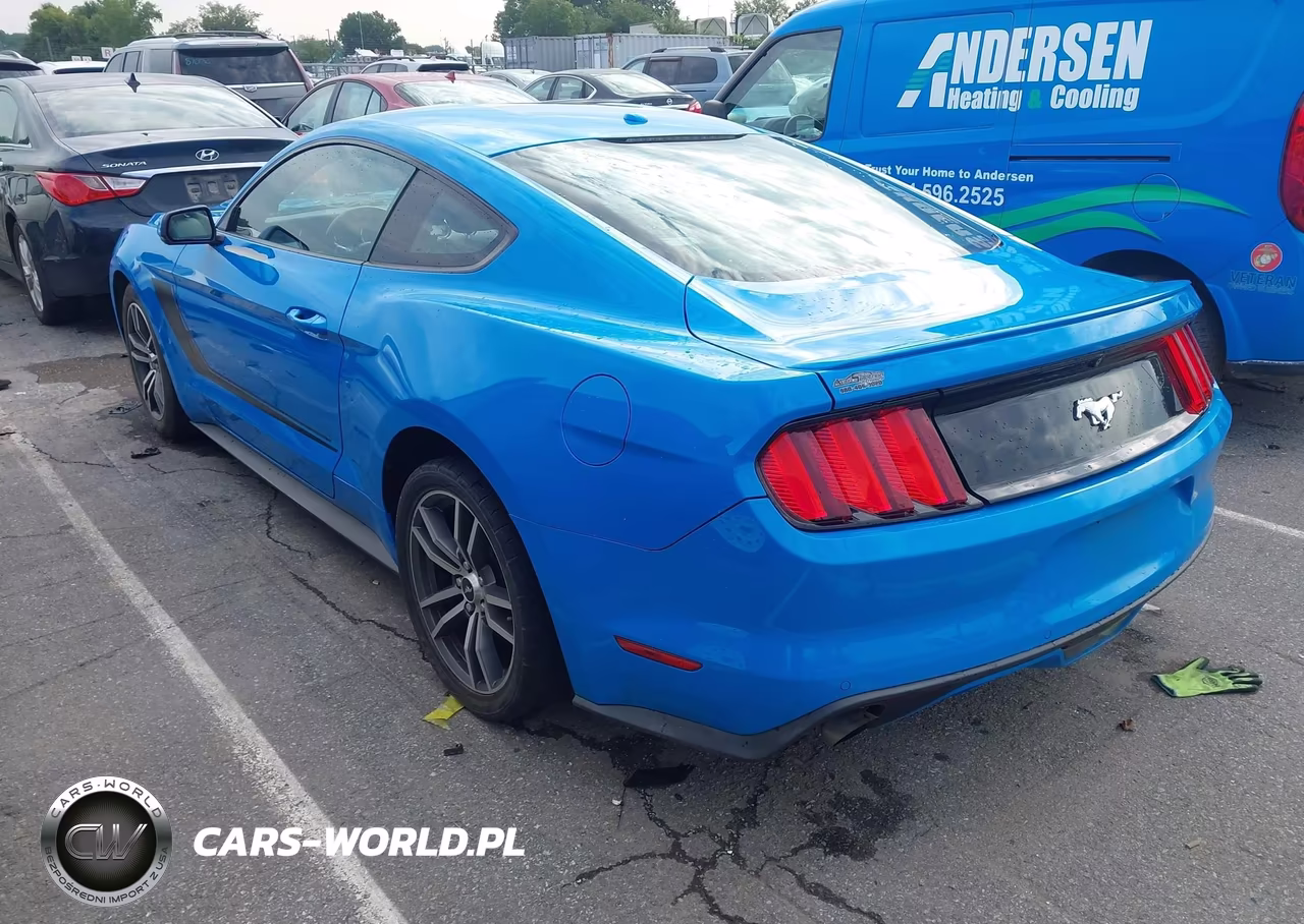 2017 Ford Mustang Ecoboost VIN:1FA6P8TH6H5308073 - 3