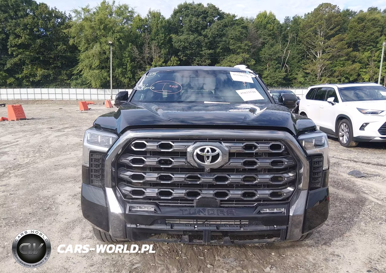 2023 Toyota Tundra Platinum VIN:5TFNA5DB9PX128959 - 13