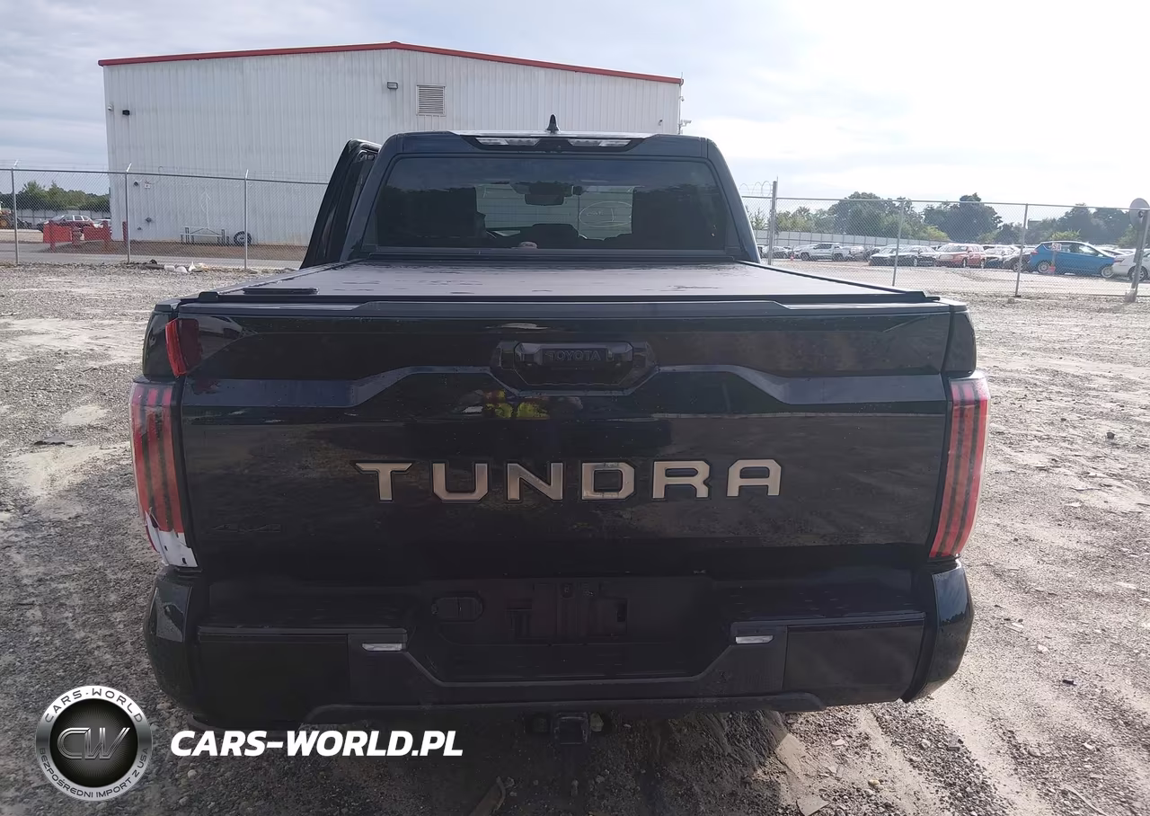 2023 Toyota Tundra Platinum VIN:5TFNA5DB9PX128959 - 17