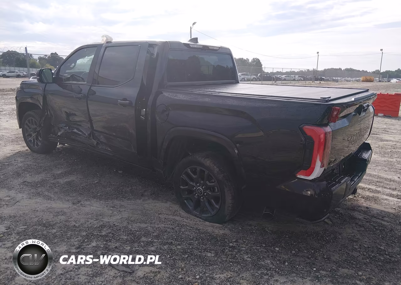 2023 Toyota Tundra Platinum VIN:5TFNA5DB9PX128959 - 3