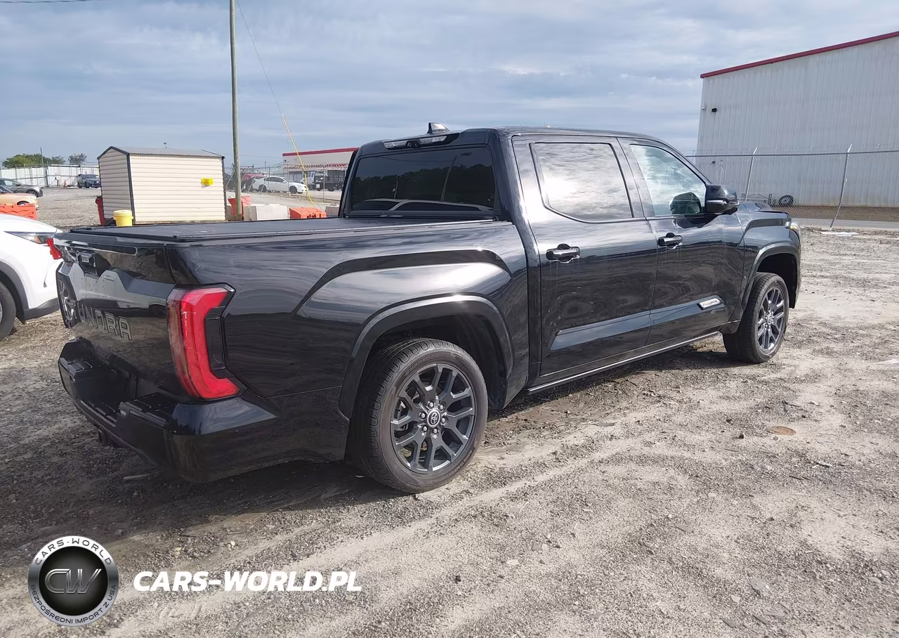 2023 Toyota Tundra Platinum VIN:5TFNA5DB9PX128959 - 4
