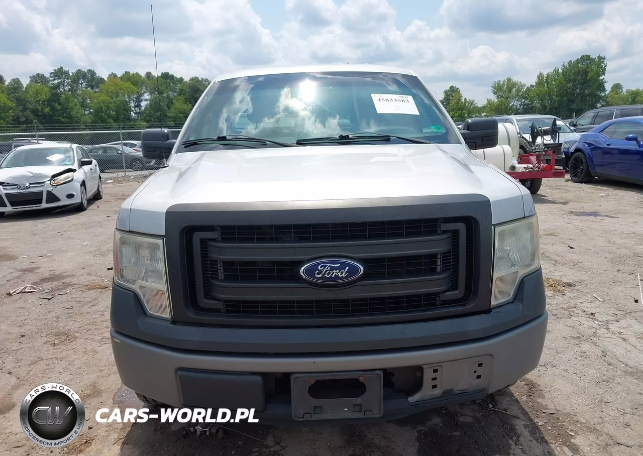 2014 Ford F-150 Xl VIN:1FTMF1CM0EKD16899 - 12
