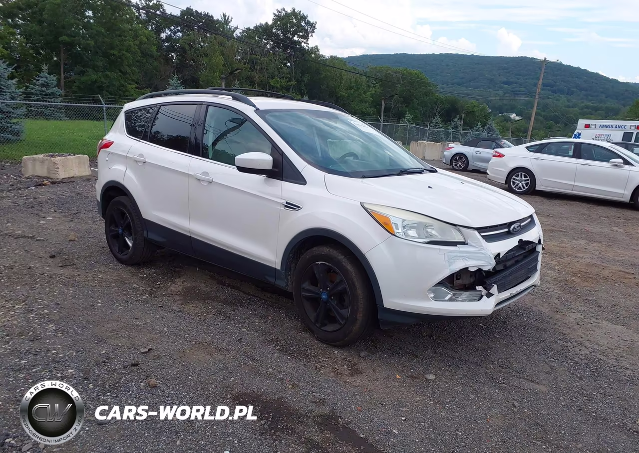 2013 Ford Escape Se