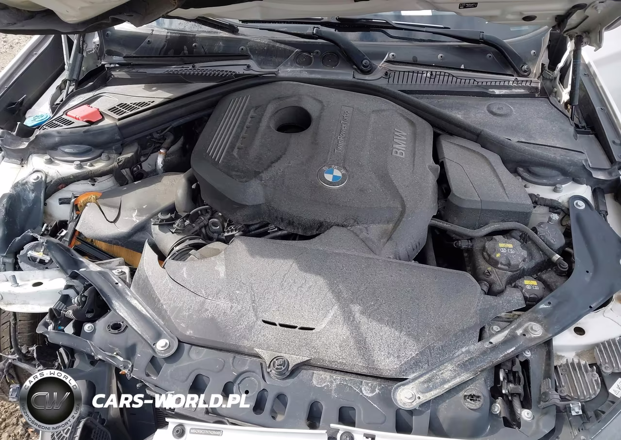2017 BMW 230I VIN:WBA2K9C37H7A26448 - 10