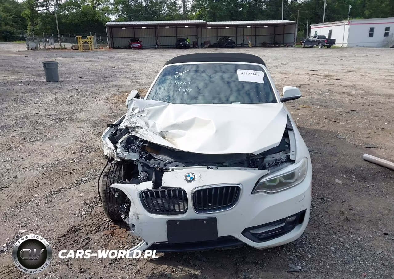 2017 BMW 230I VIN:WBA2K9C37H7A26448 - 12