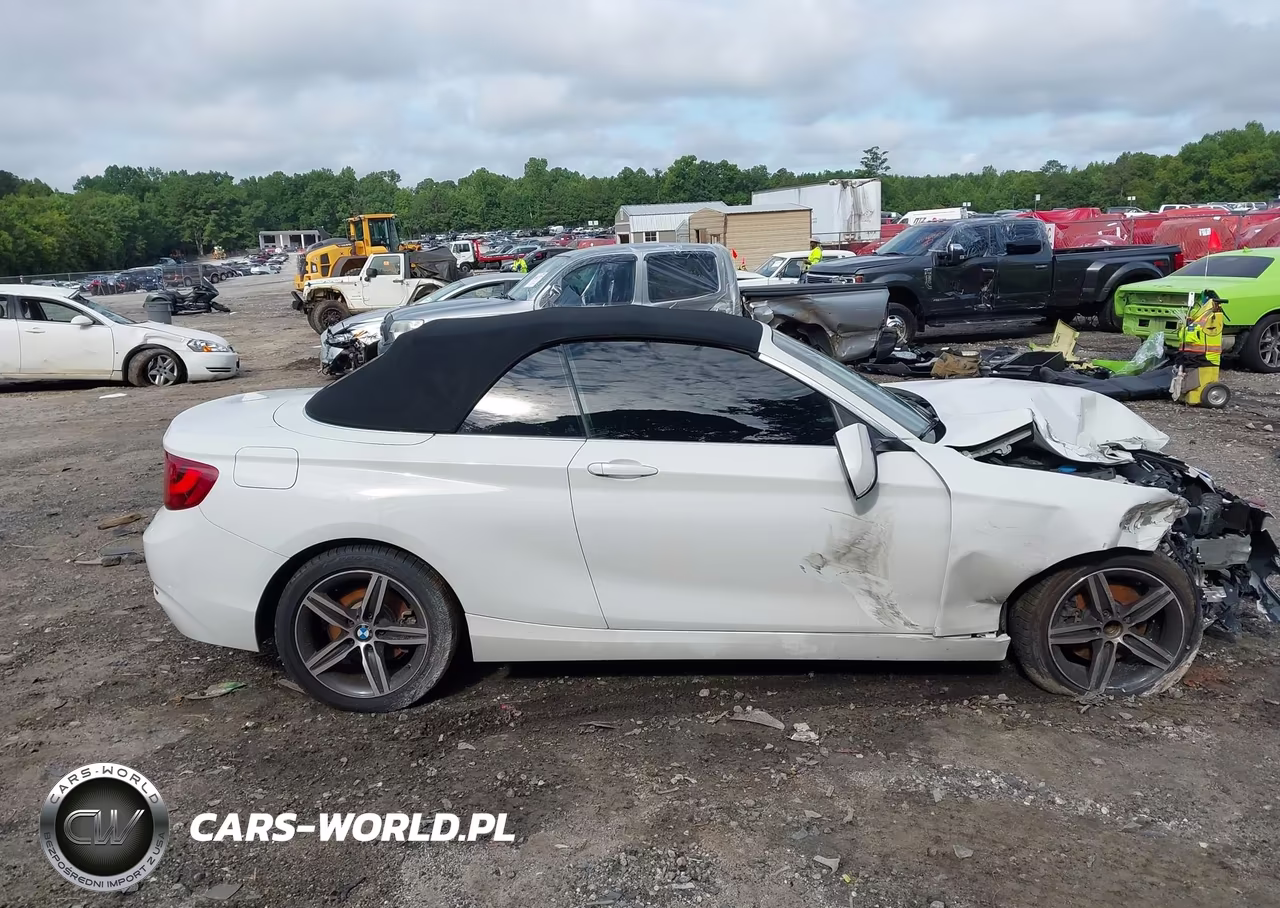 2017 BMW 230I VIN:WBA2K9C37H7A26448 - 13