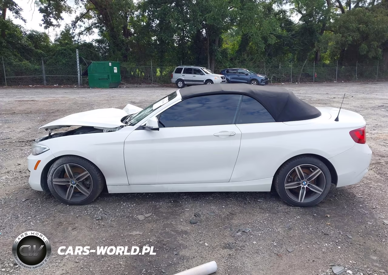 2017 BMW 230I VIN:WBA2K9C37H7A26448 - 14
