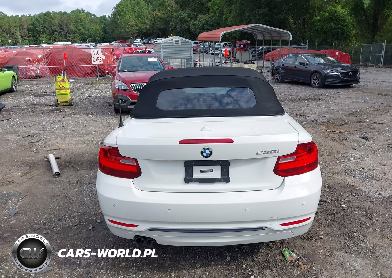 2017 BMW 230I VIN:WBA2K9C37H7A26448 - 16