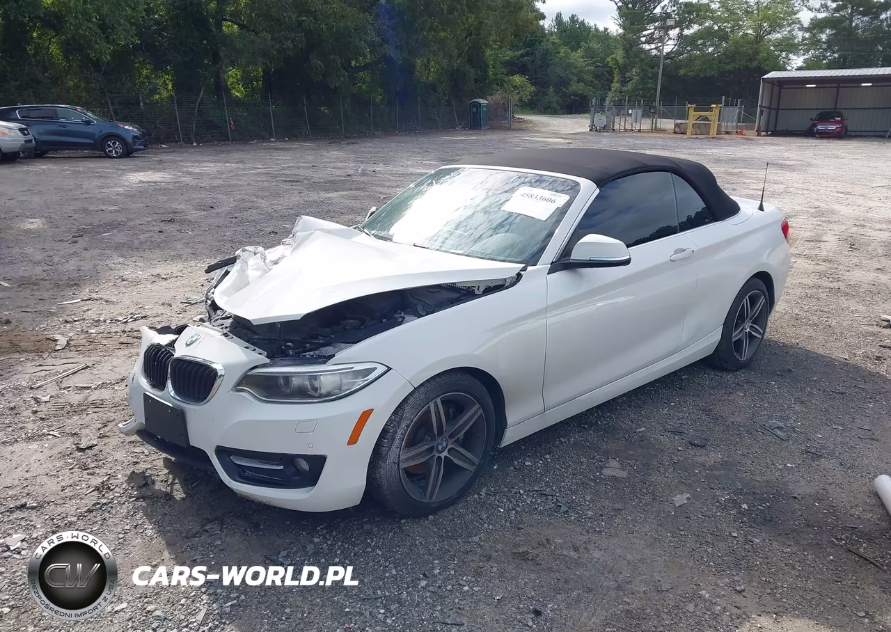 2017 BMW 230I VIN:WBA2K9C37H7A26448 - 2