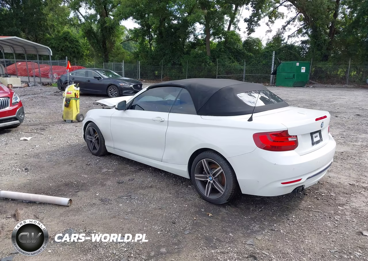 2017 BMW 230I VIN:WBA2K9C37H7A26448 - 3