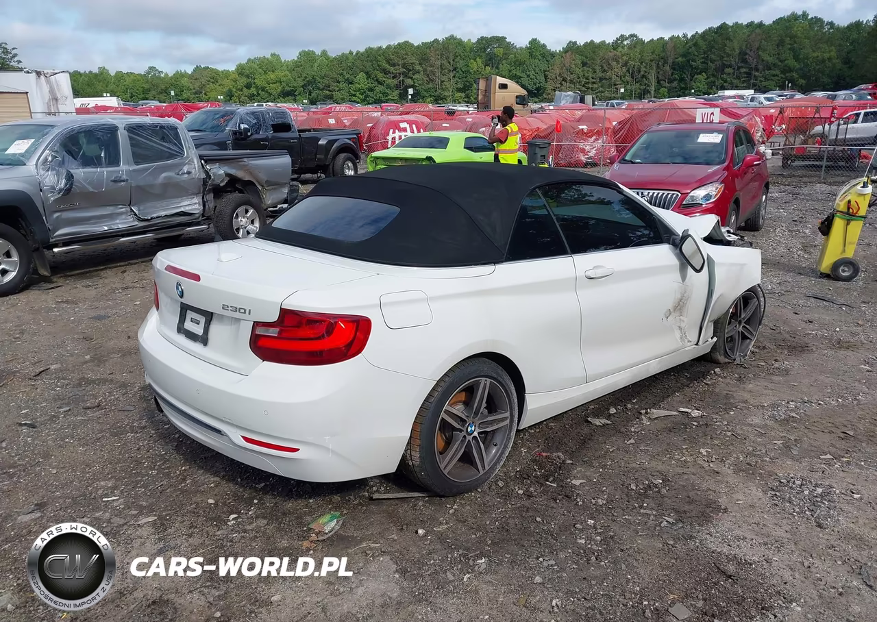 2017 BMW 230I VIN:WBA2K9C37H7A26448 - 4