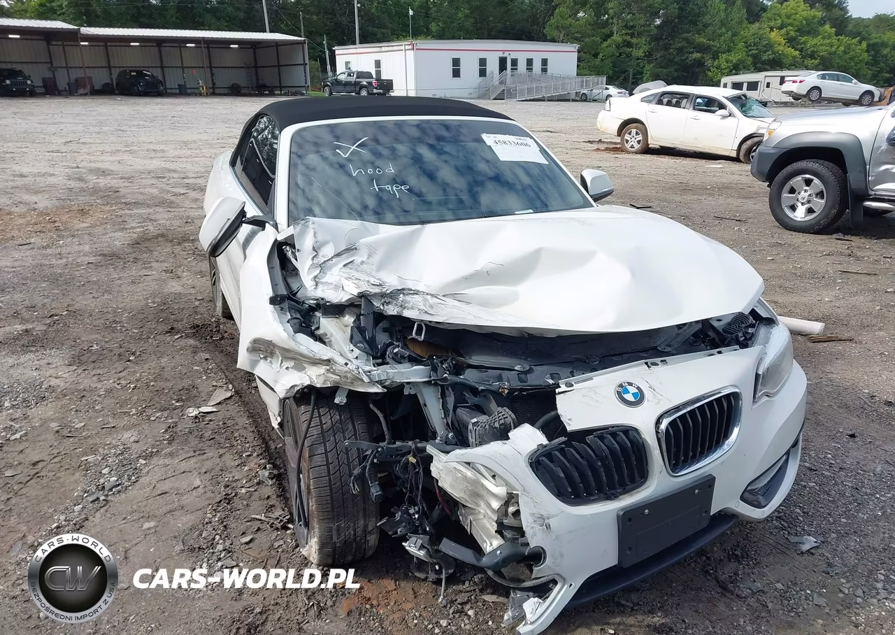 2017 BMW 230I VIN:WBA2K9C37H7A26448 - 6