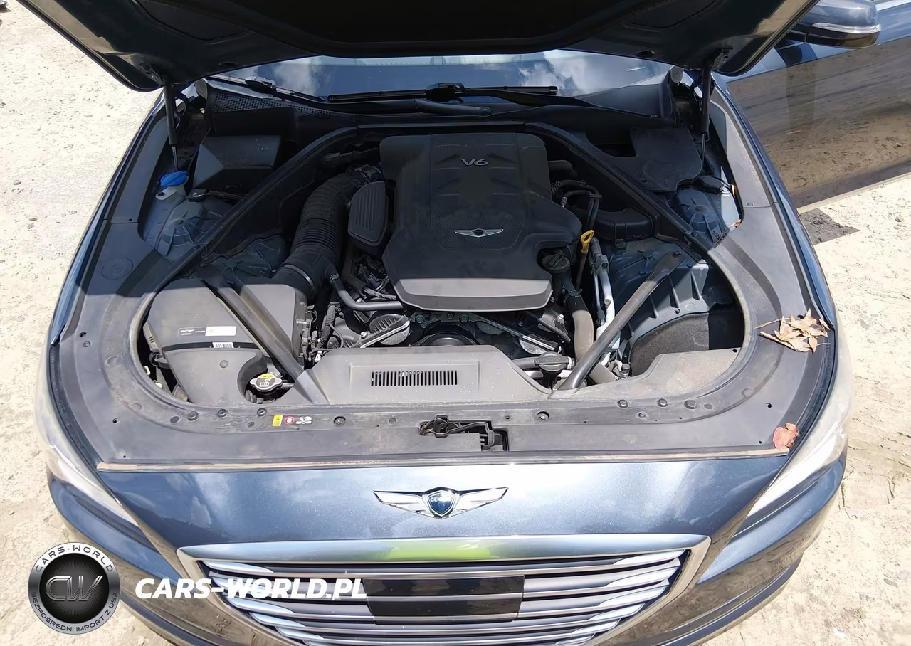 2017 Genesis G80 3.8 VIN:KMHGN4JE8HU175338 - 10