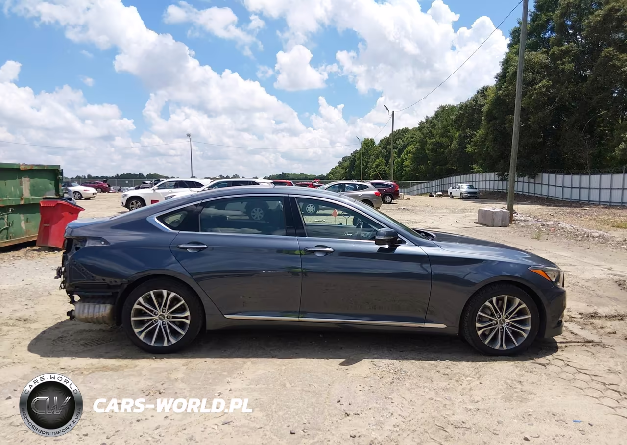 2017 Genesis G80 3.8 VIN:KMHGN4JE8HU175338 - 14