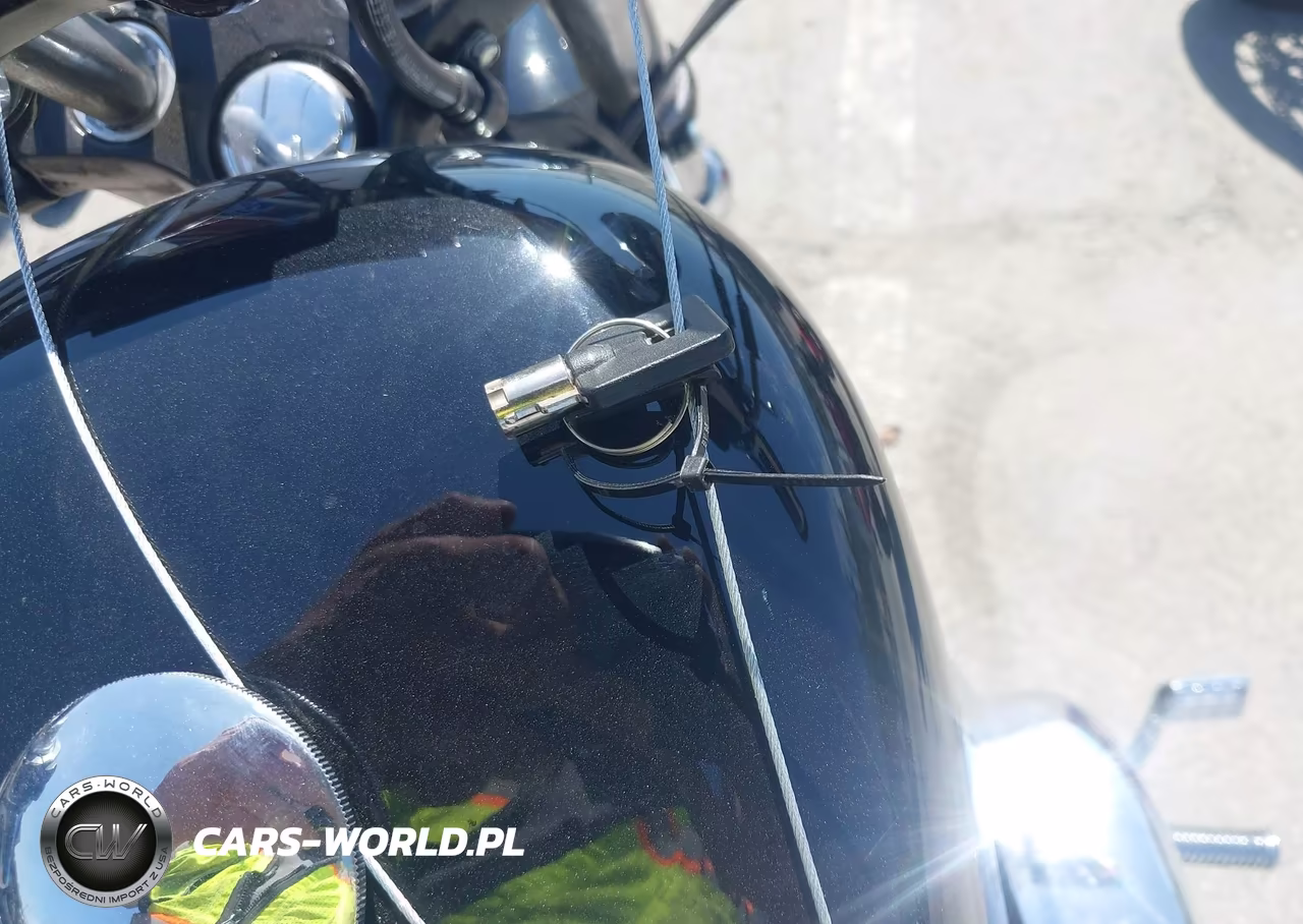 2005 Harley-Davidson Xl1200 C VIN:1HD1CGP375K425228 - 11