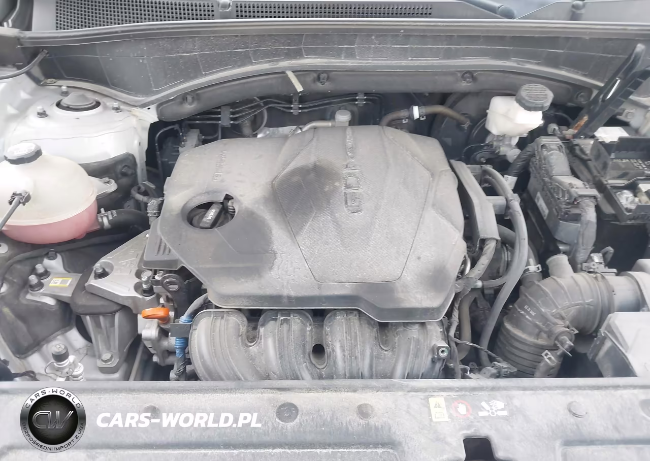 2021 Hyundai Santa Fe Sel VIN:5NMS24AJ1MH324467 - 10