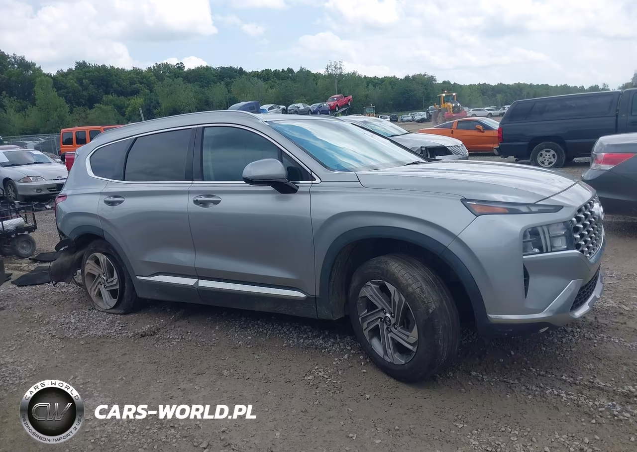 2021 Hyundai Santa Fe Sel VIN:5NMS24AJ1MH324467 - 14