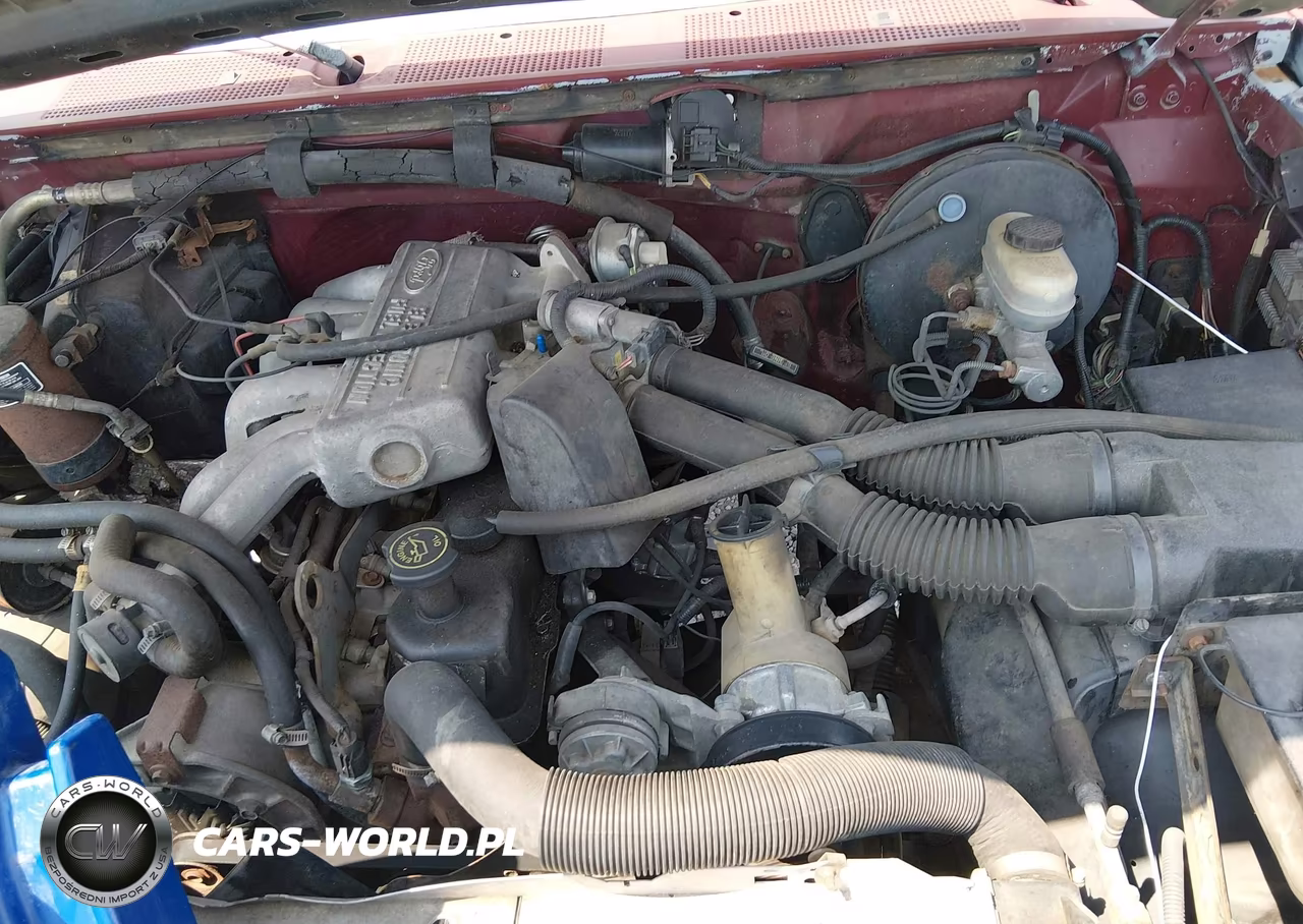 1993 Ford F150 VIN:1FTEF14YXPNA69009 - 10