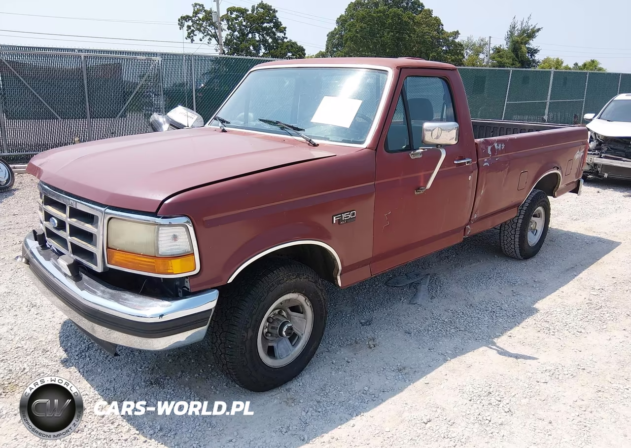 1993 Ford F150 VIN:1FTEF14YXPNA69009 - 2
