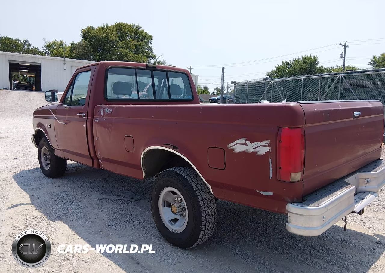 1993 Ford F150 VIN:1FTEF14YXPNA69009 - 3