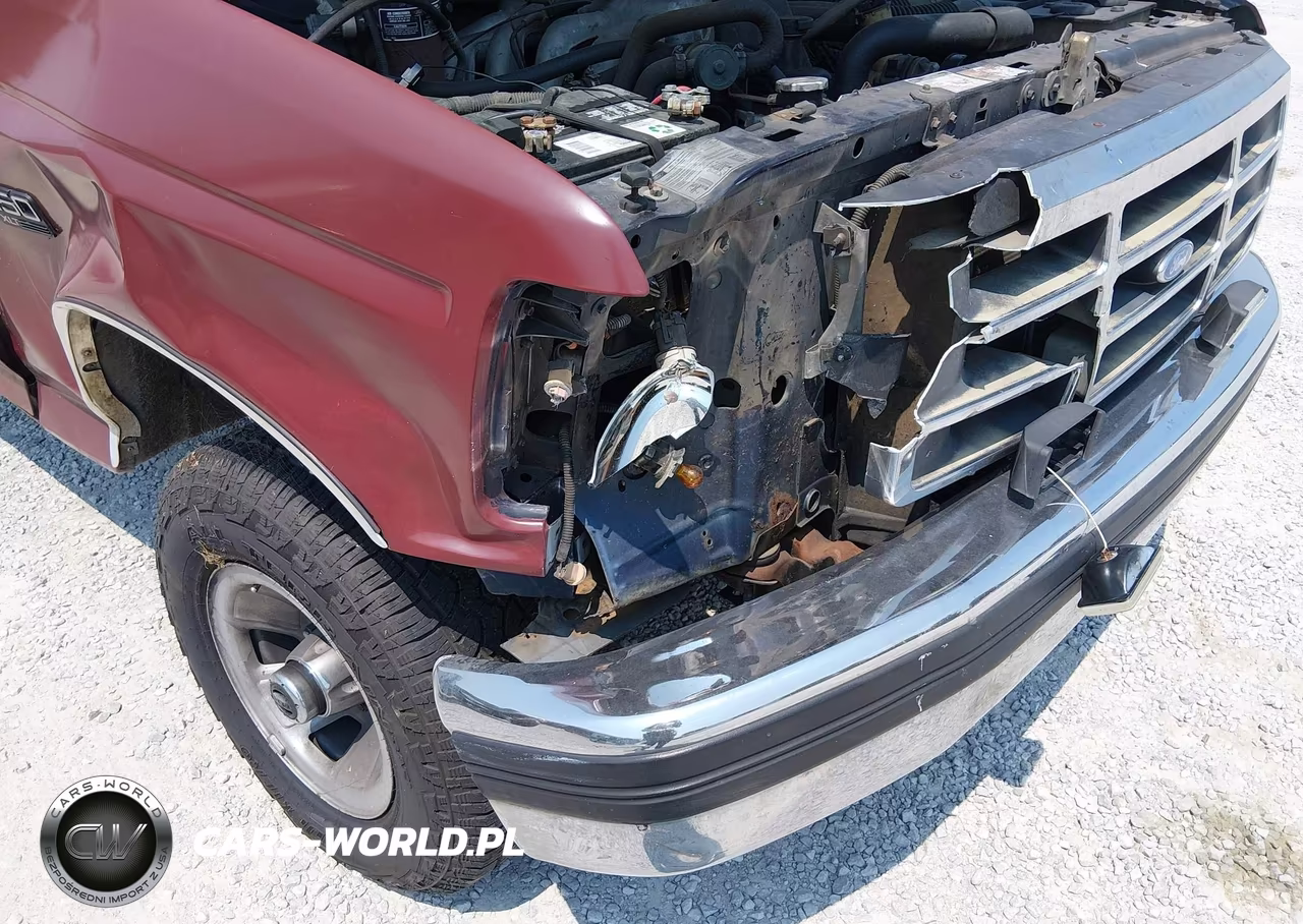 1993 Ford F150 VIN:1FTEF14YXPNA69009 - 6