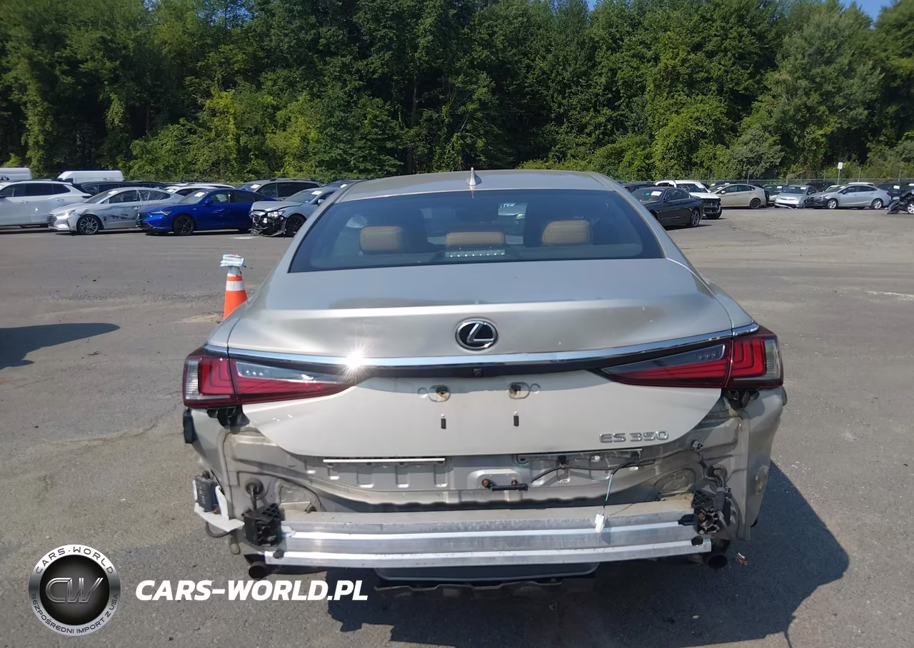 2019 Lexus Es 350 VIN:58ABZ1B15KU014048 - 16