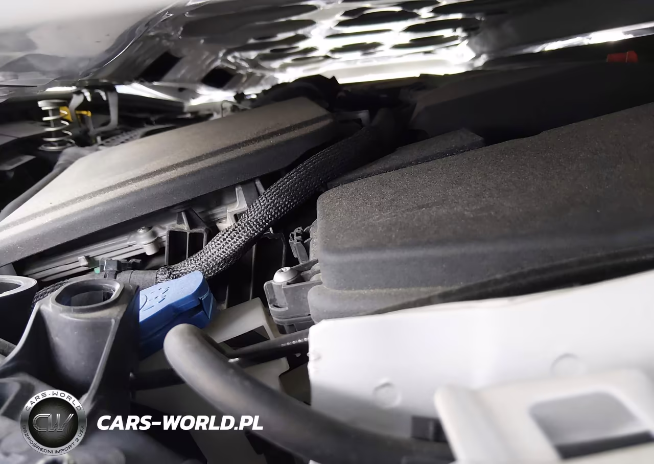 2019 Mercedes-Benz A 220 VIN:WDD3G4EB6KW007048 - 10